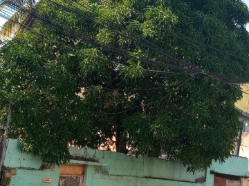 Casa Independente 3 quartos, garagem, 360m2 terreno murado